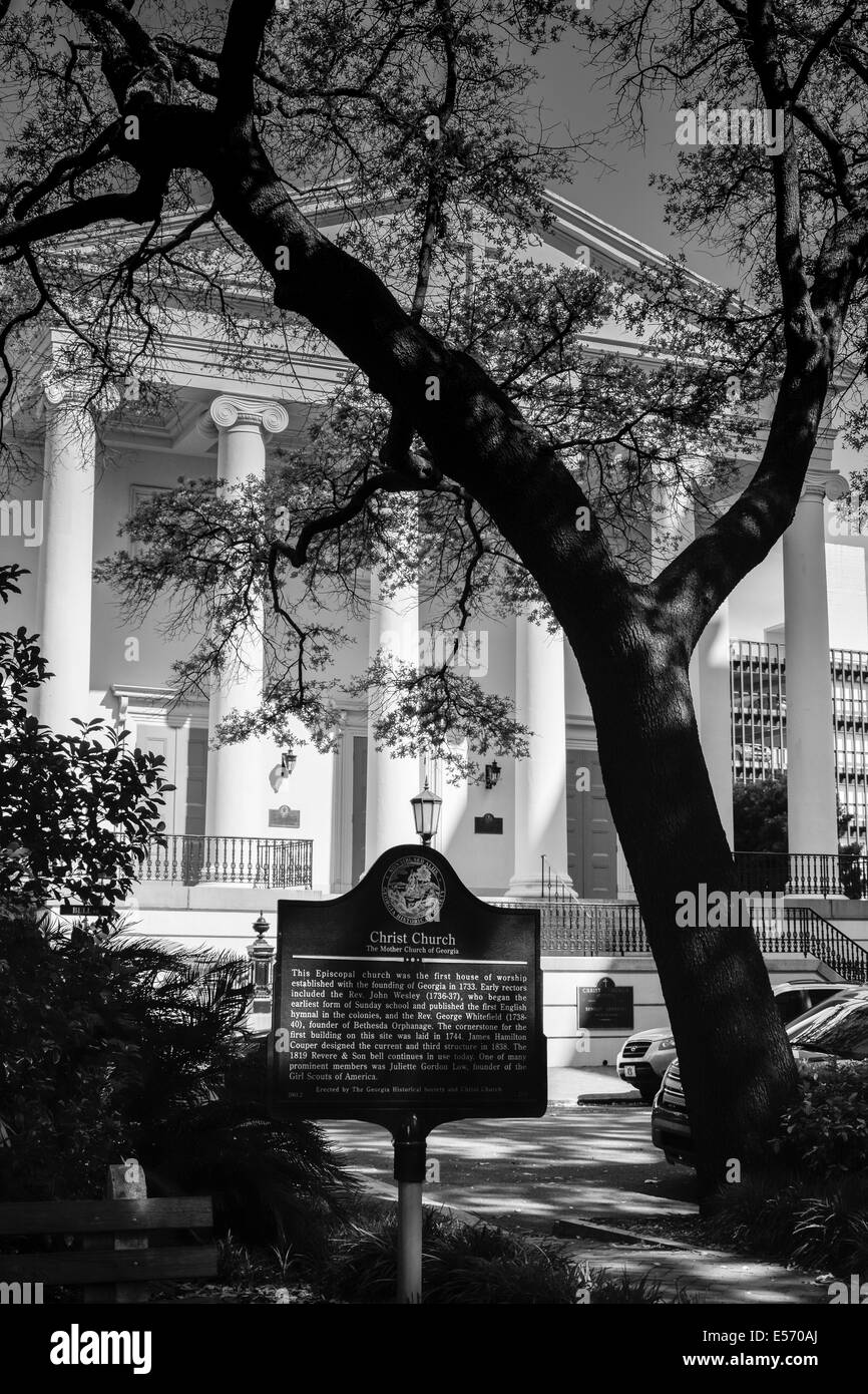 Una targa informativa e maestoso albero di quercia coprono l'ingresso alla storica, maestosa Chiesa episcopale di Cristo, Savannah, GA, in bianco e nero Foto Stock