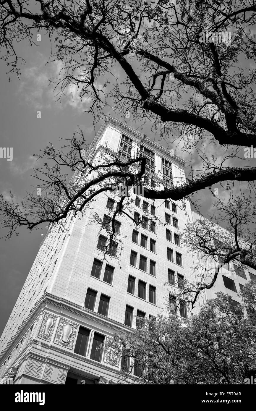 Un Neo-Classic e il terzo edificio più alto di Savannah, il Savannah Bank e la fiducia, appare tra i rami di una maestosa quercia Foto Stock