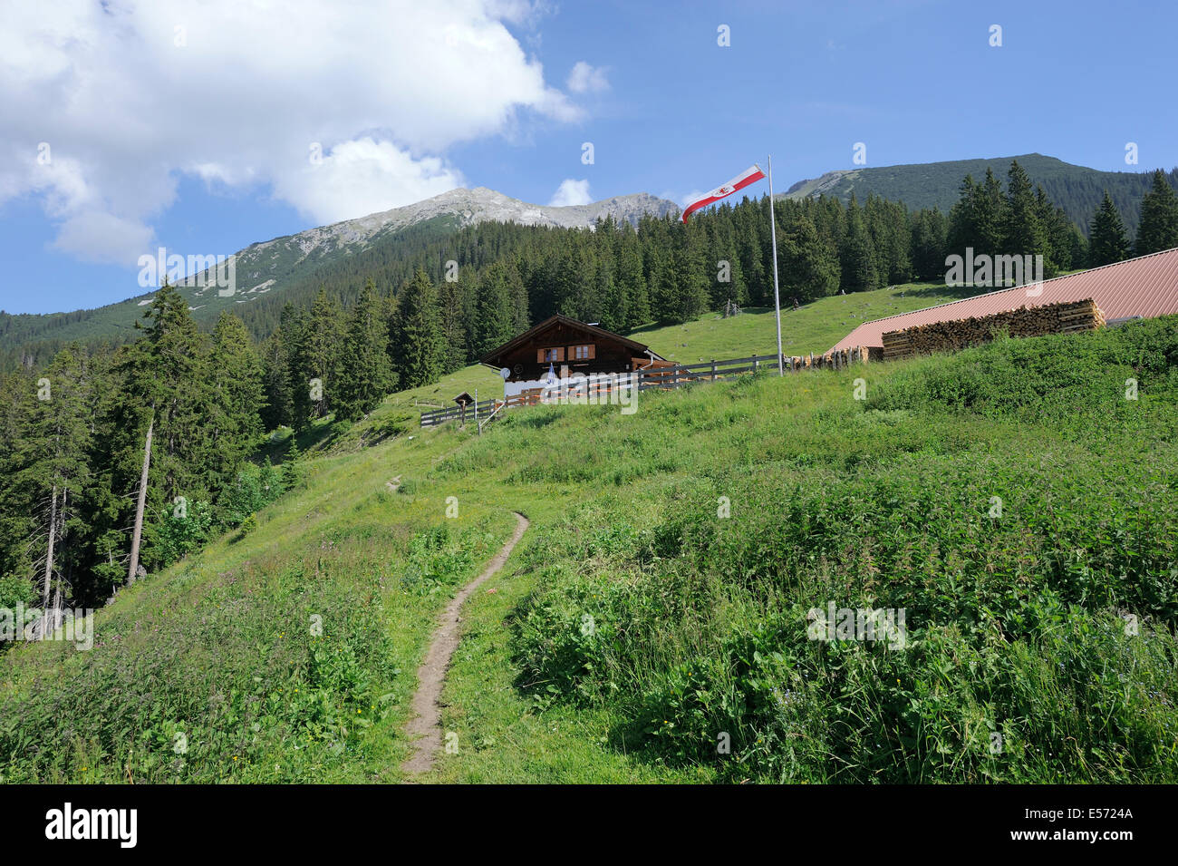 Sentiero escursionistico al Mountain Lodge Tuftlalm e ulteriormente alla montagna Daniel, Lermoos, Austria Foto Stock