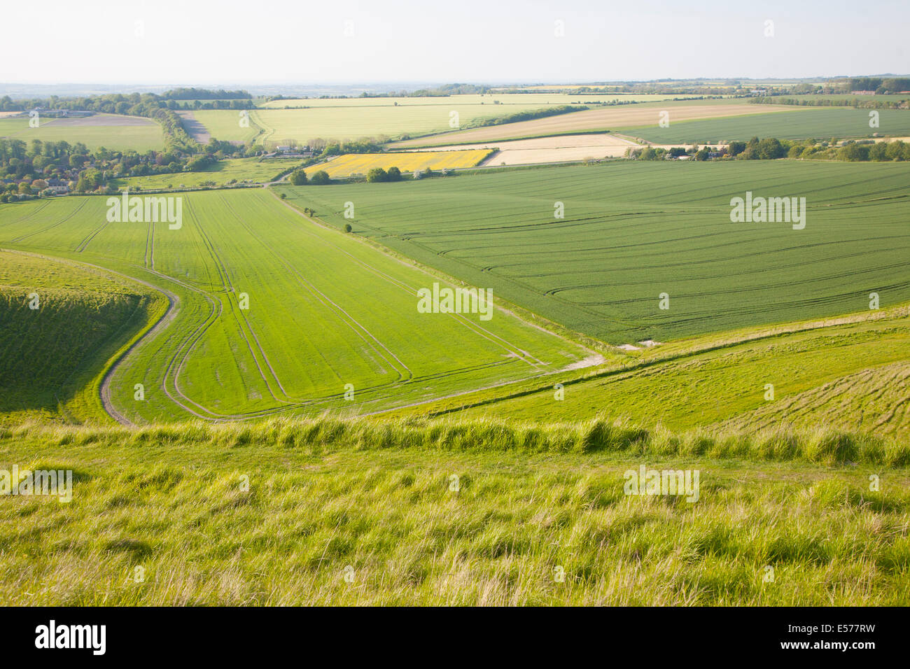 Vista estiva di campi arabili e chalk paesaggio dal basso Cherhill scarpata, Wiltshire, Inghilterra Foto Stock
