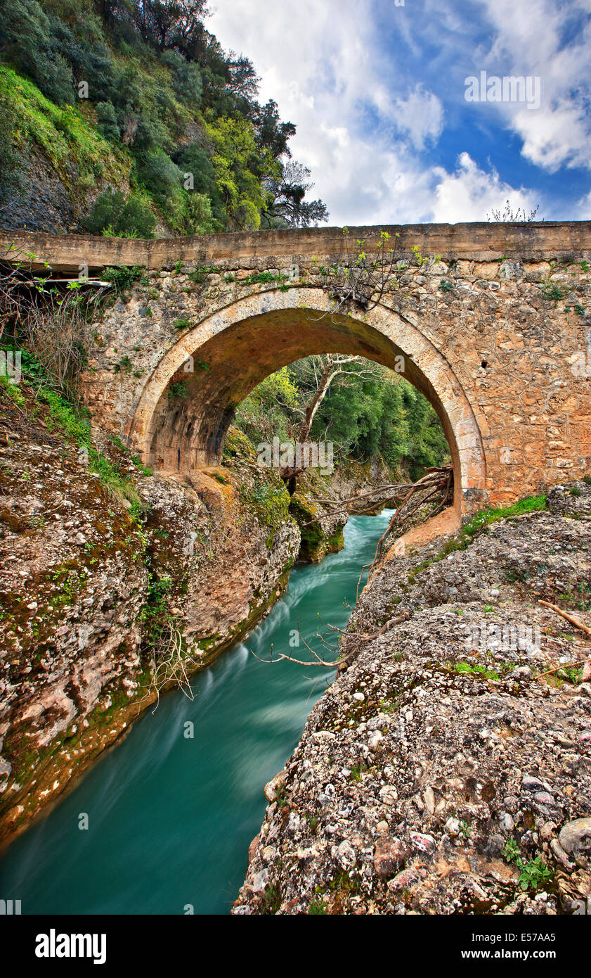 Vista parziale dell'antica pietra ponte arcuato di Achladini, Erymanthos river, Comune di Antica Olympia, Ileia, Grecia Foto Stock