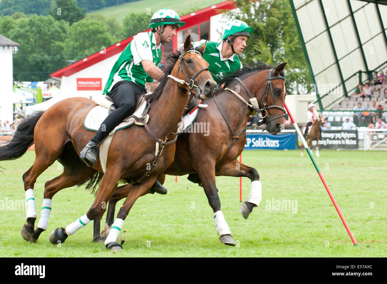 Llanelwedd, UK. Il 22 luglio 2014. Team Irlanda piloti tandem. Relè Inter-Hunt squadre competere nell'anello principale. Un numero record di visitatori in eccesso di 240.000 sono attesi questa settimana durante i quattro giorni dell'Europa la più grande mostra dell'agricoltura. Classi di bestiame e i premi speciali hanno attratto 8.000 voci plus, 670 in più rispetto allo scorso anno. La prima mai Royal Welsh Show è stato a Aberystwyth in 1904 ed ha attirato 442 voci di bestiame. Credito: Graham M. Lawrence/Alamy Live News. Foto Stock