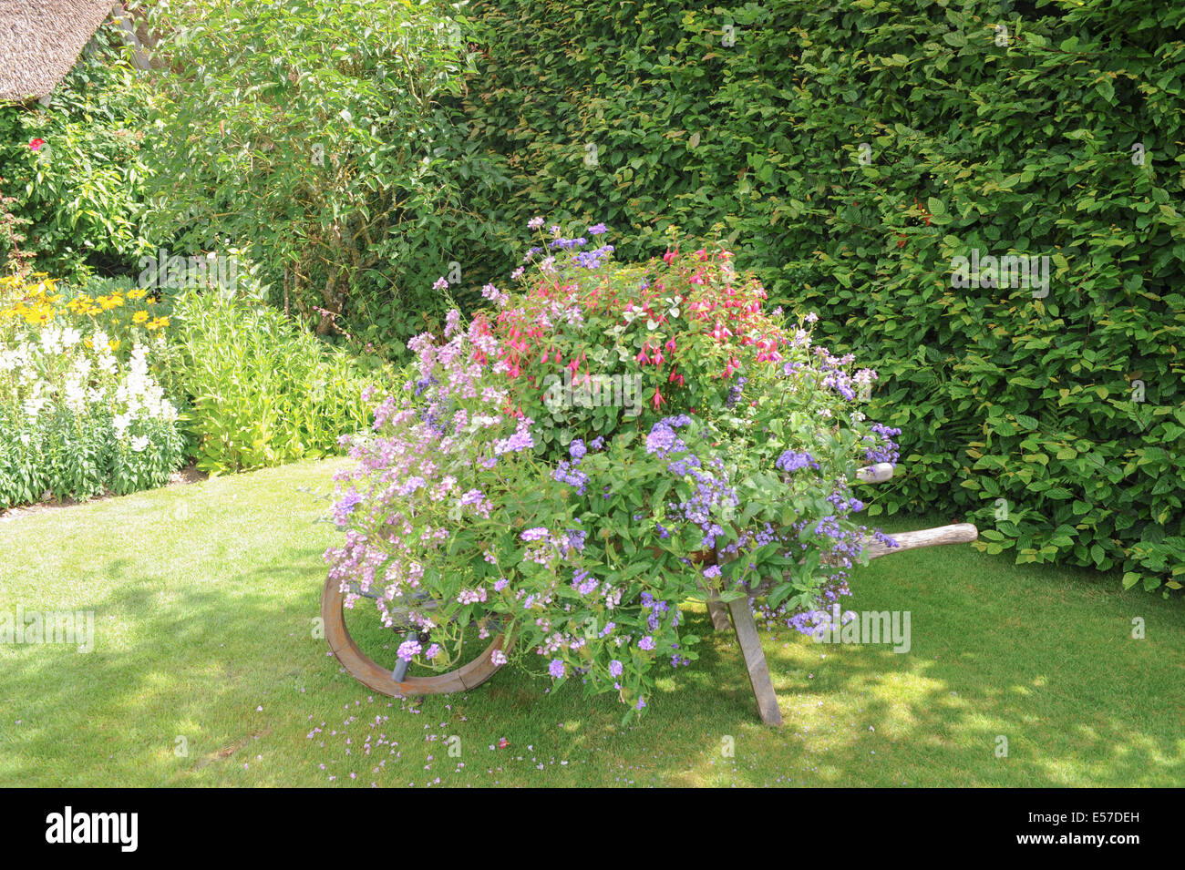 Un tradizionale English Garden cottage a Rosemoor, vicino a Torrington, Devon, Inghilterra sudoccidentale, UK, photraphed in estate. Foto Stock