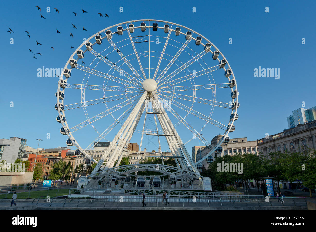 La nuova ruota di Manchester ruota panoramica Ferris situato in Piccadilly  Gardens nel Manchester Foto stock - Alamy