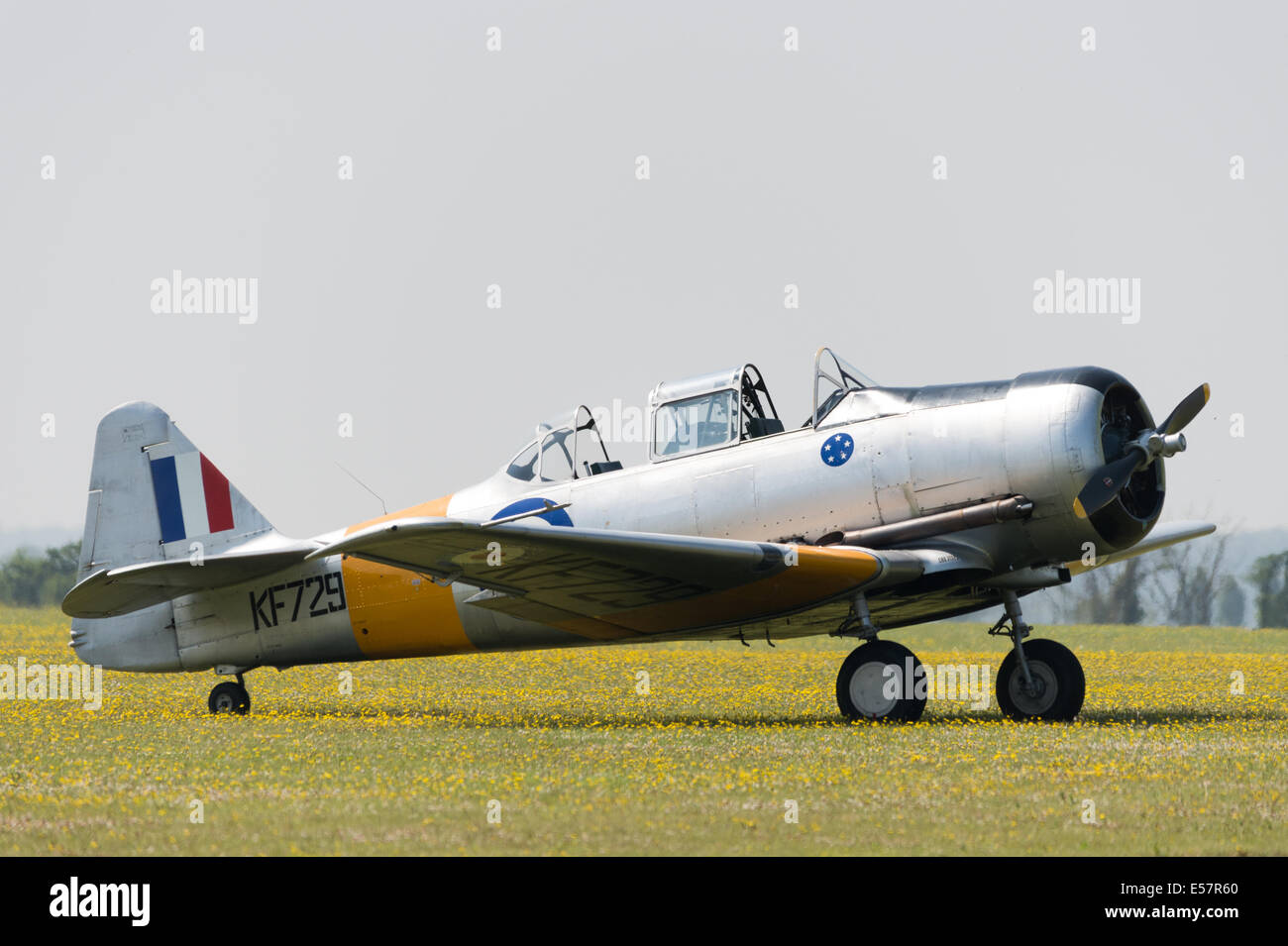 Piano di Harvard KF729 nel campo a Duxford Foto Stock