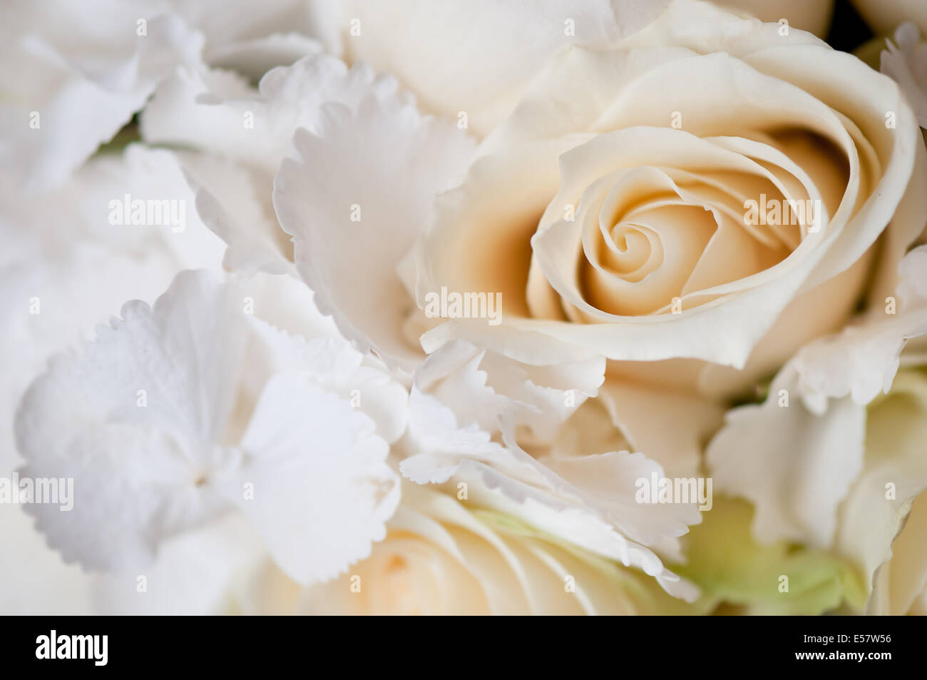 Bianco di nozze bouquet di fiori dettaglio Foto Stock