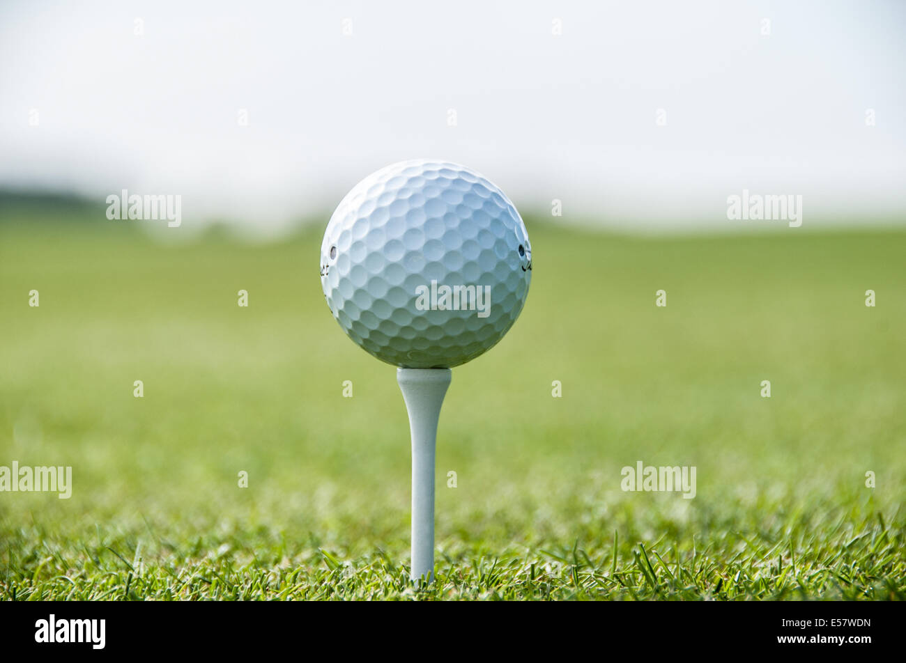 In prossimità di una pallina da golf tced pronto a colpire lungo il fairway Foto Stock