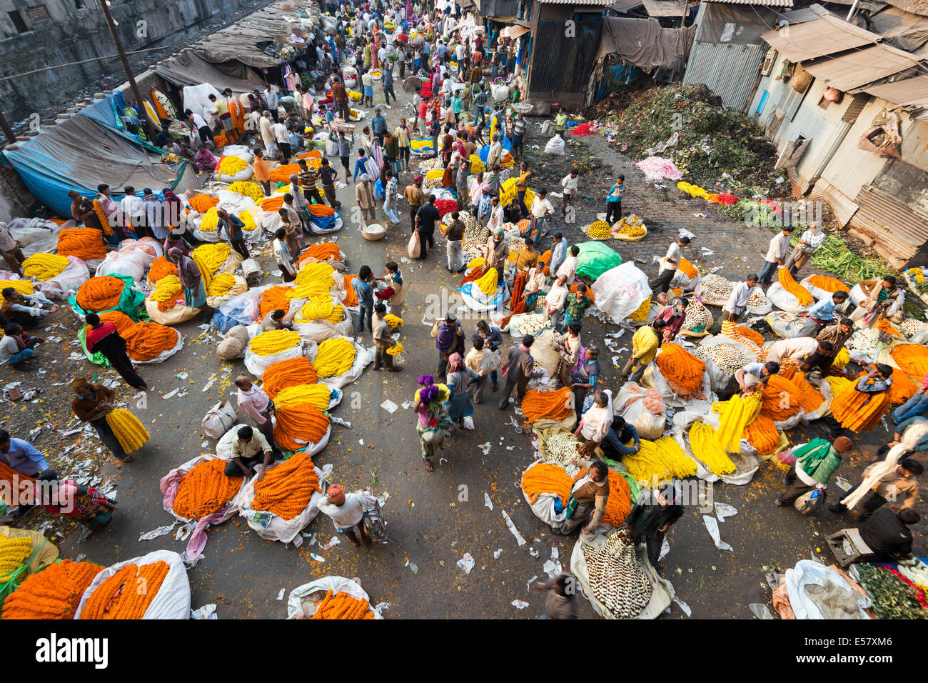 KOLKATA, India - 10 febbraio 2014: fornitori vendono fiori al mercato dei fiori in Kolkata, India Febbraio 2014. Foto Stock