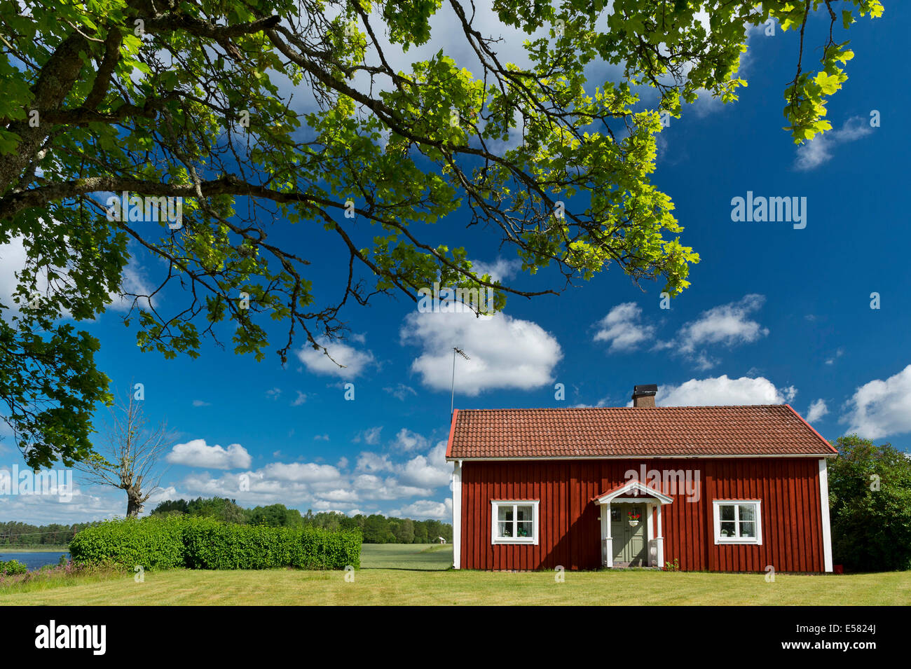Casa Falu dipinte di rosso, Kake Åsnen, Smaland, Svezia Foto Stock