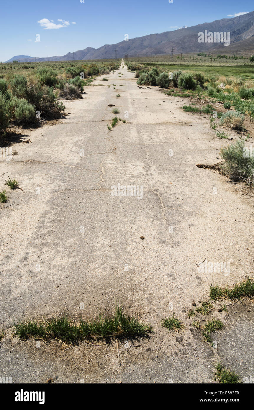 L'immagine verticale della vecchia abbandonata strada asfaltata Foto Stock
