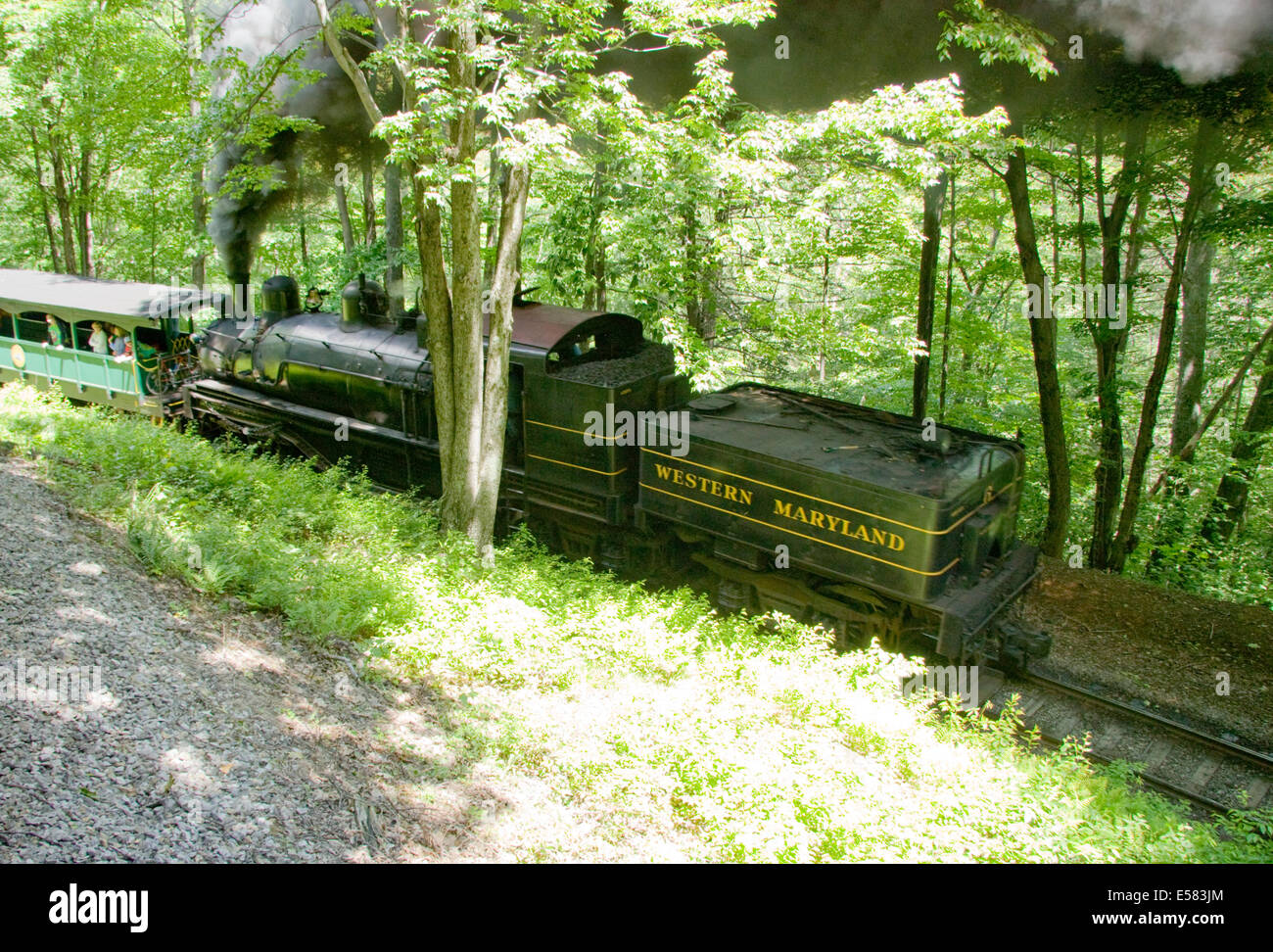 Cass Scenic Railroad State Park, West Virginia, USA Foto Stock