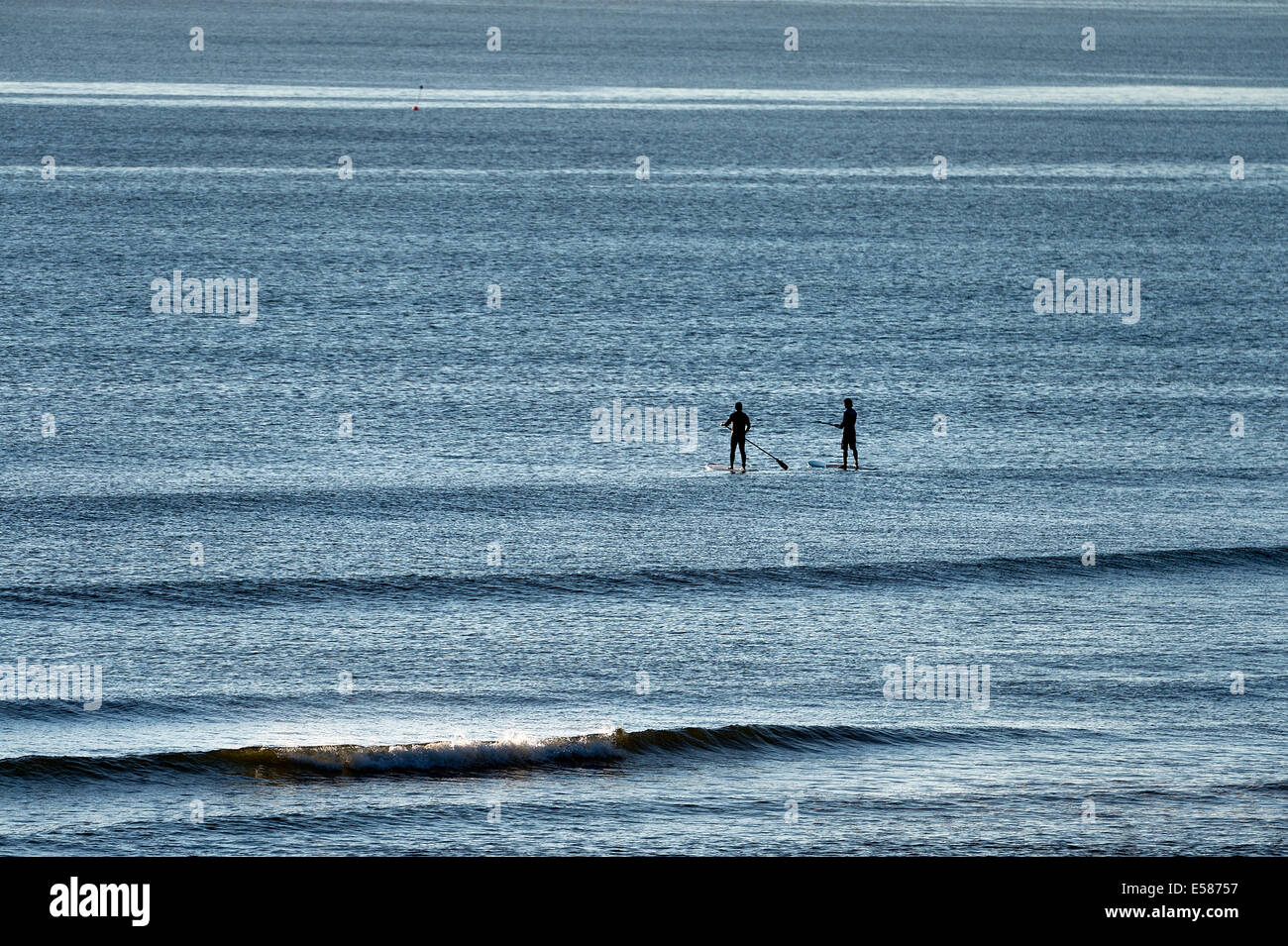 Scheda Paddle surfers testa fuori per la cattura di un'onda, Coast Guard Beach, Cape Cod, Massachusetts, STATI UNITI D'AMERICA Foto Stock