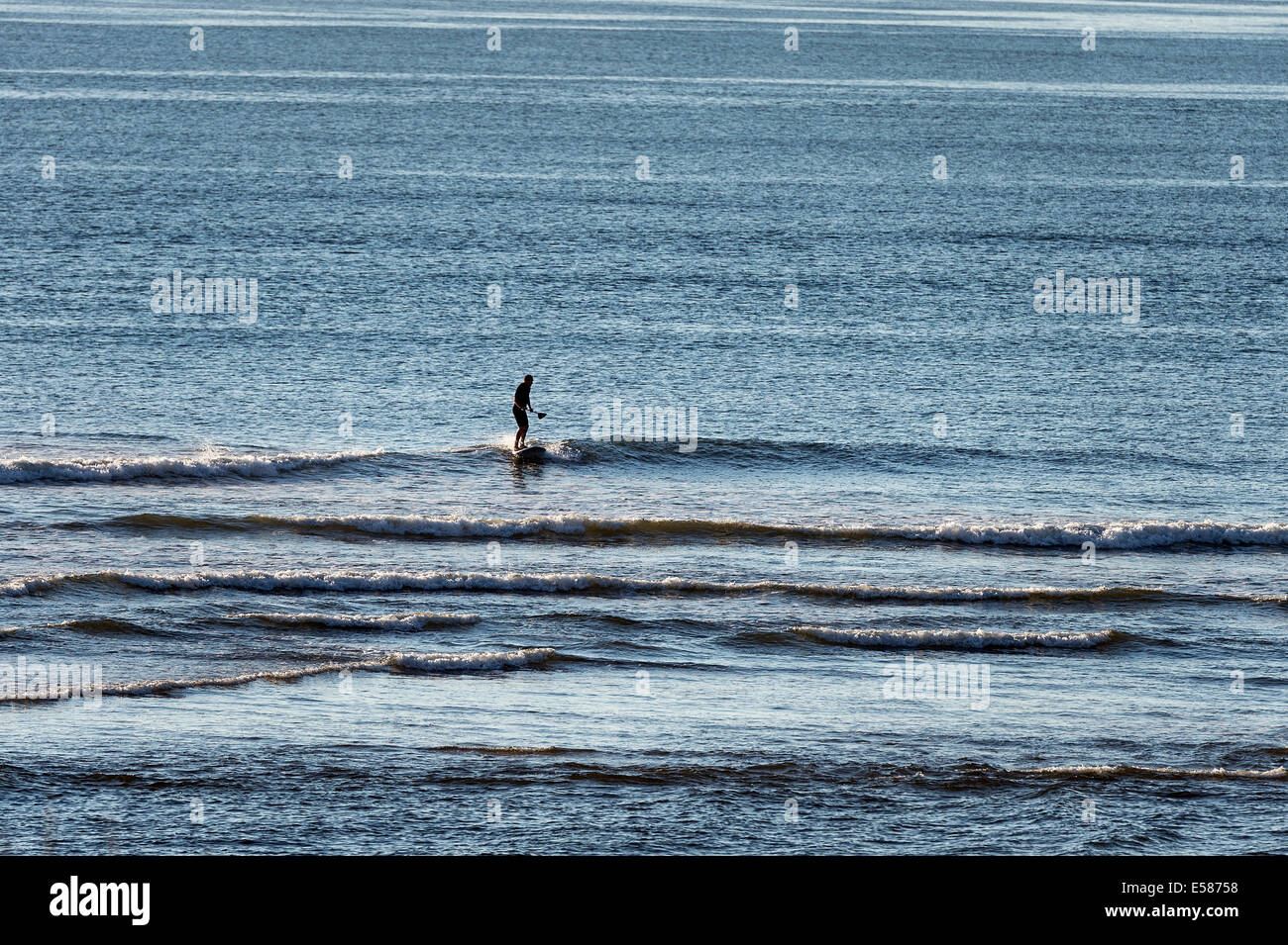 Scheda Paddle surfer testa fuori per la cattura di un'onda, Coast Guard Beach, Cape Cod, Massachusetts, STATI UNITI D'AMERICA Foto Stock