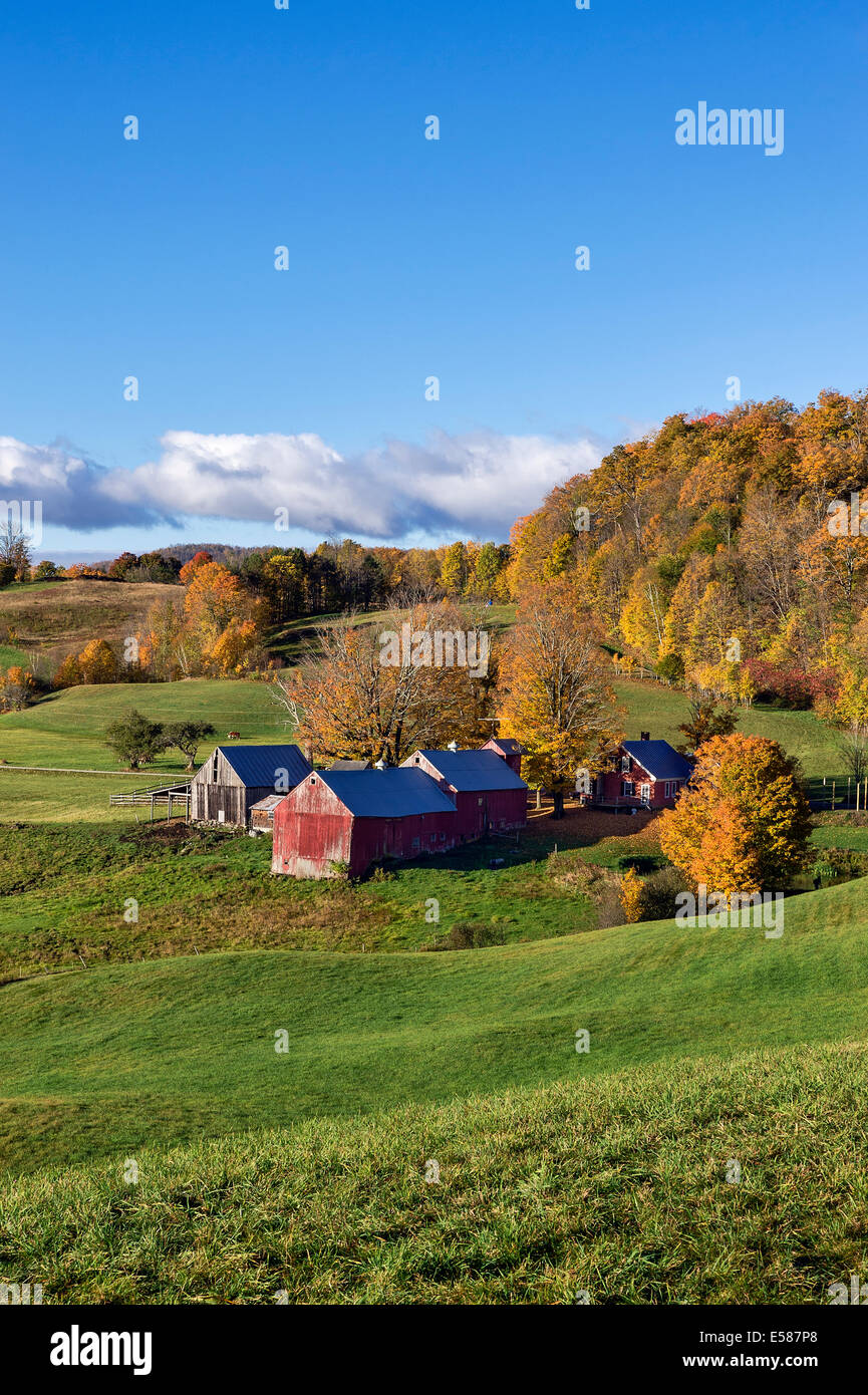 Colori d'autunno farm, lettura, Vermont, USA Foto Stock