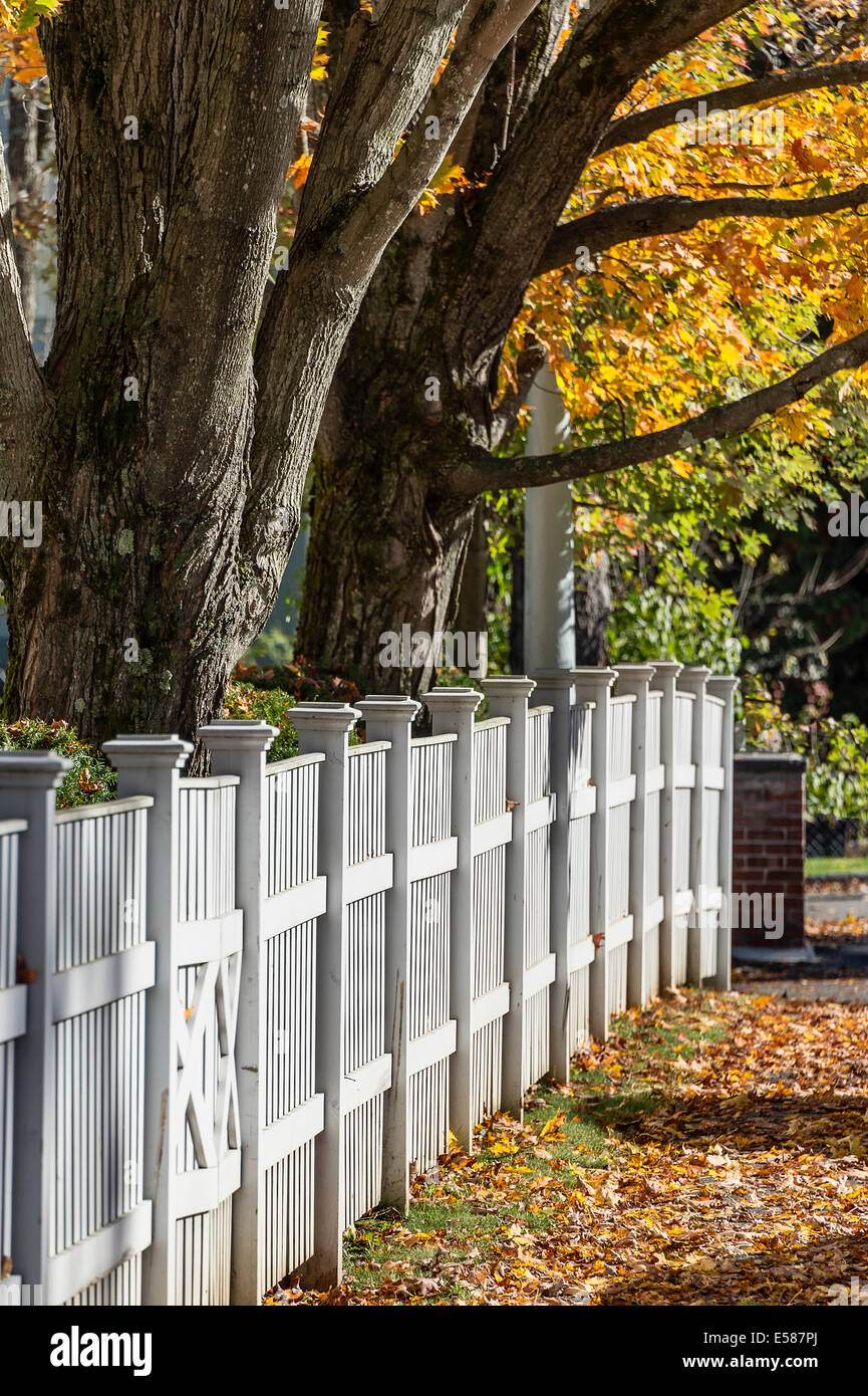 Affascinante bianco Picket Fence con colore di autunno, Woodstock, Vermont, USA Foto Stock