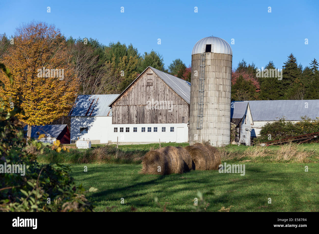 Granaio e fattoria con balle di fieno, Woodstock, Vermont. Foto Stock