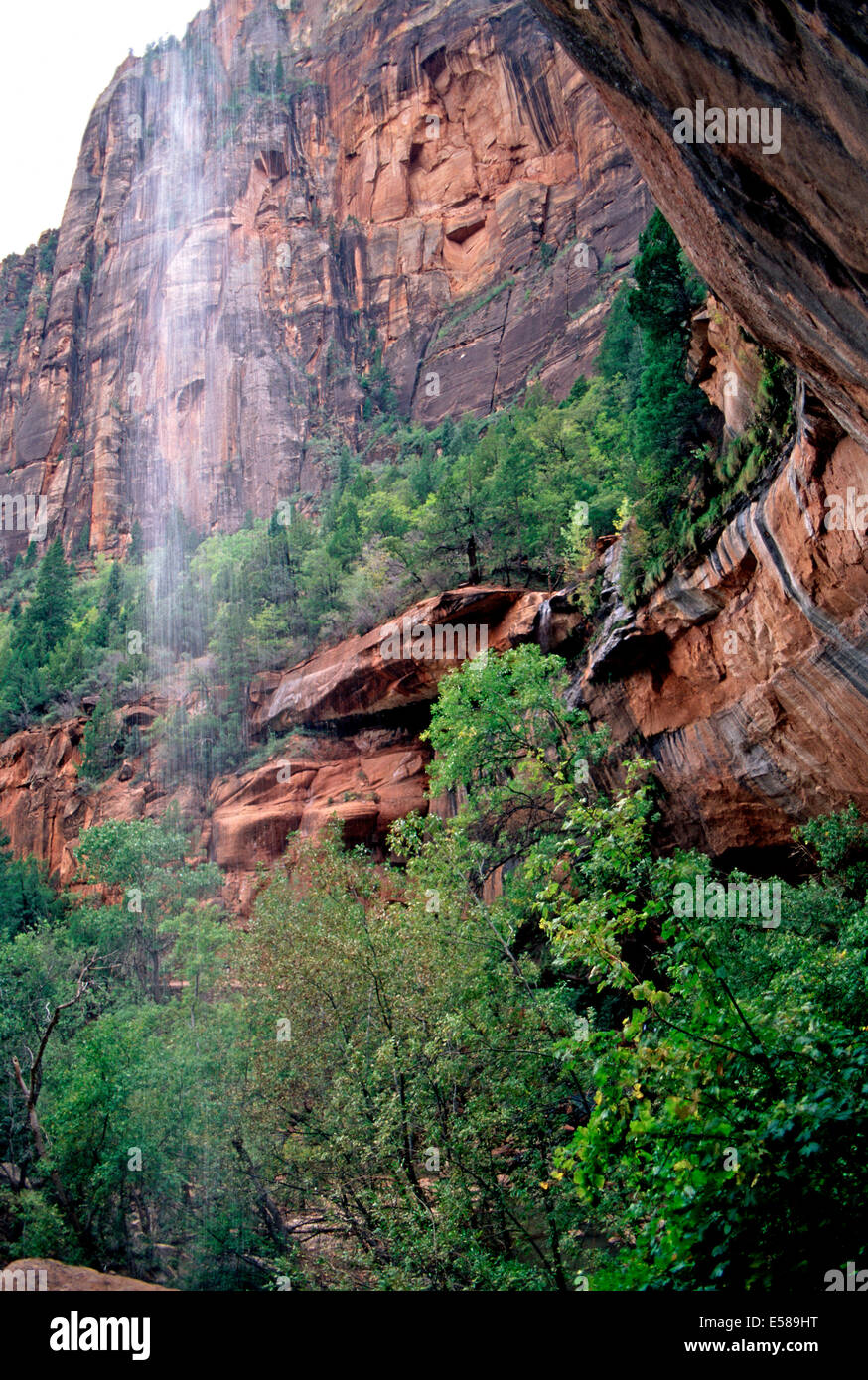 Pool di smeraldo cascata,Parco Nazionale Zion,Utah Foto Stock