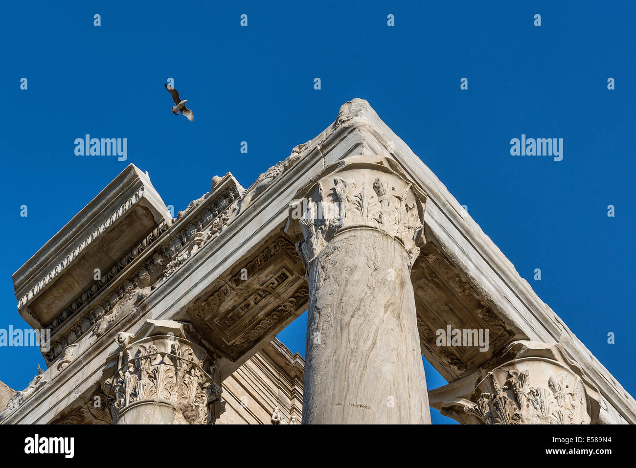 Colonne corinzie dettaglio, il Tempio di Antonino e Faustina, Foro Romano, Roma, Italia Foto Stock