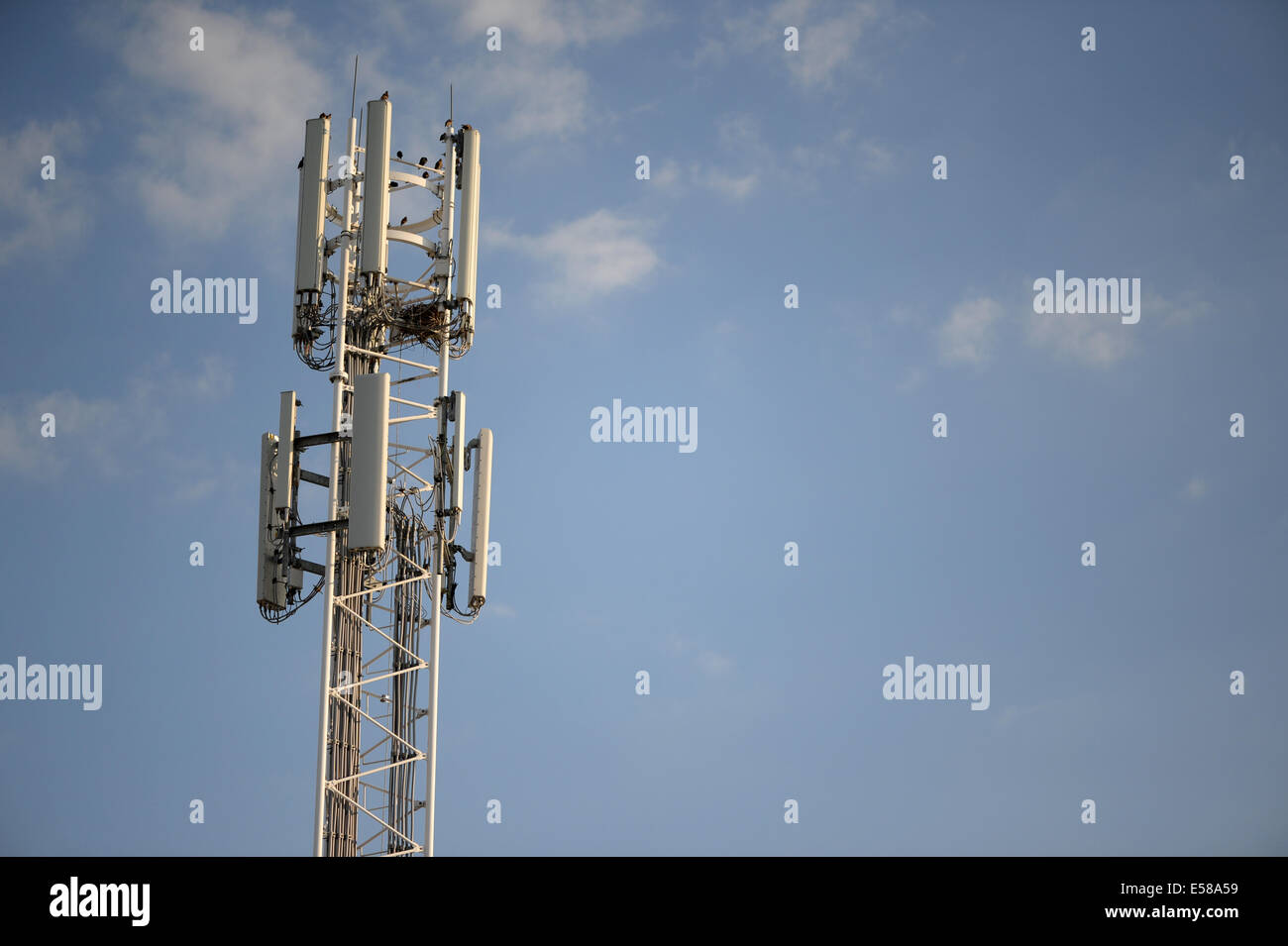 Telefono cellulare antenna del montante Foto Stock