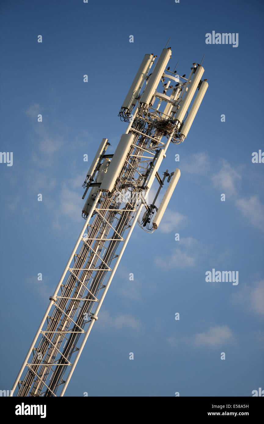 Telefono cellulare antenna del montante Foto Stock