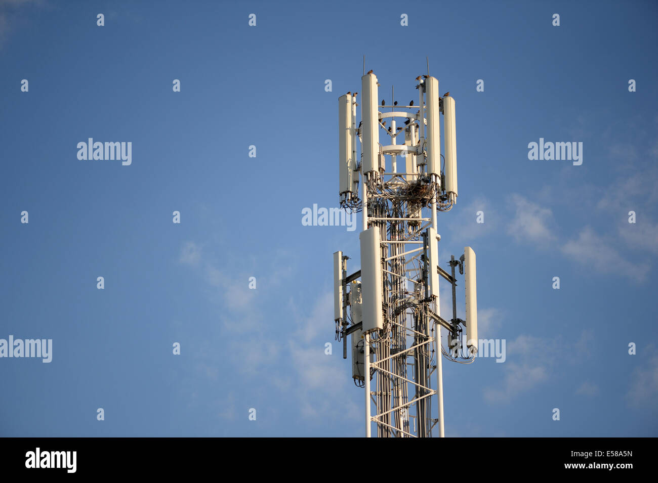Telefono cellulare antenna del montante Foto Stock