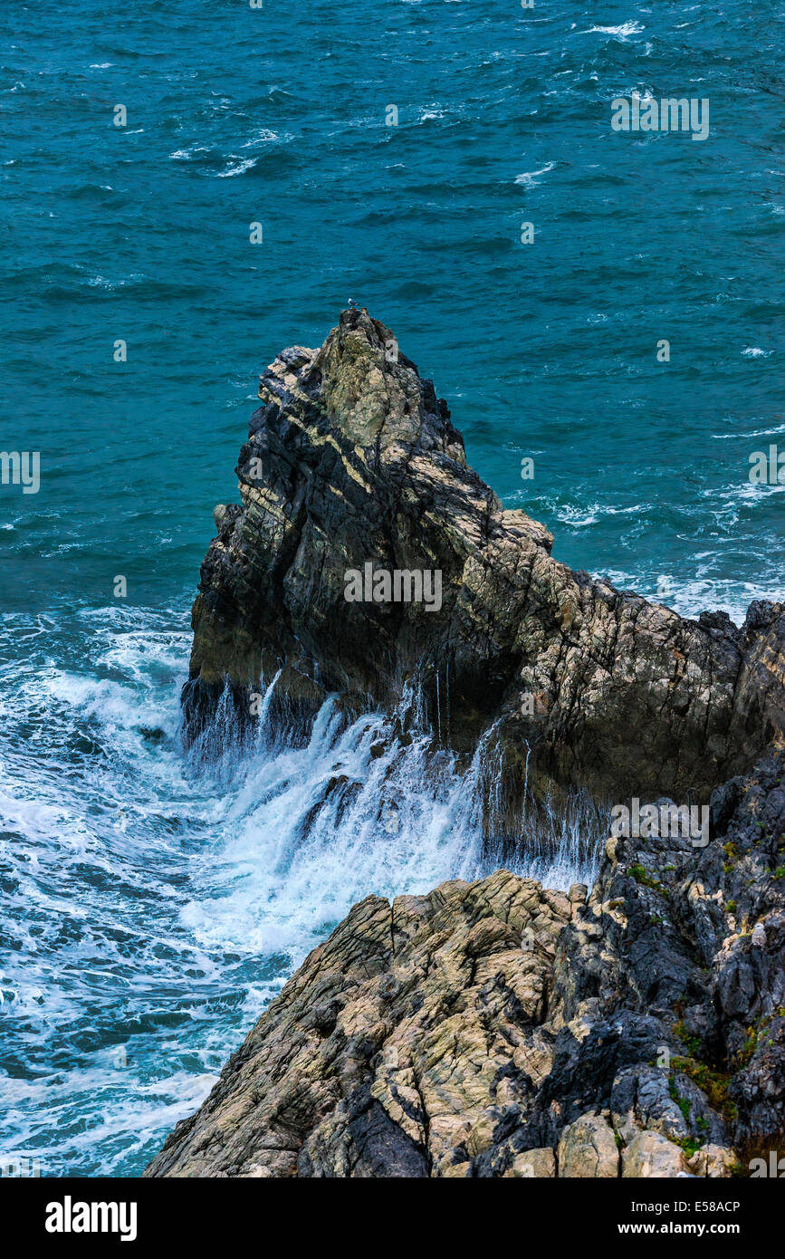 Mare mosso e il robusto costa ligure, Italia Foto Stock