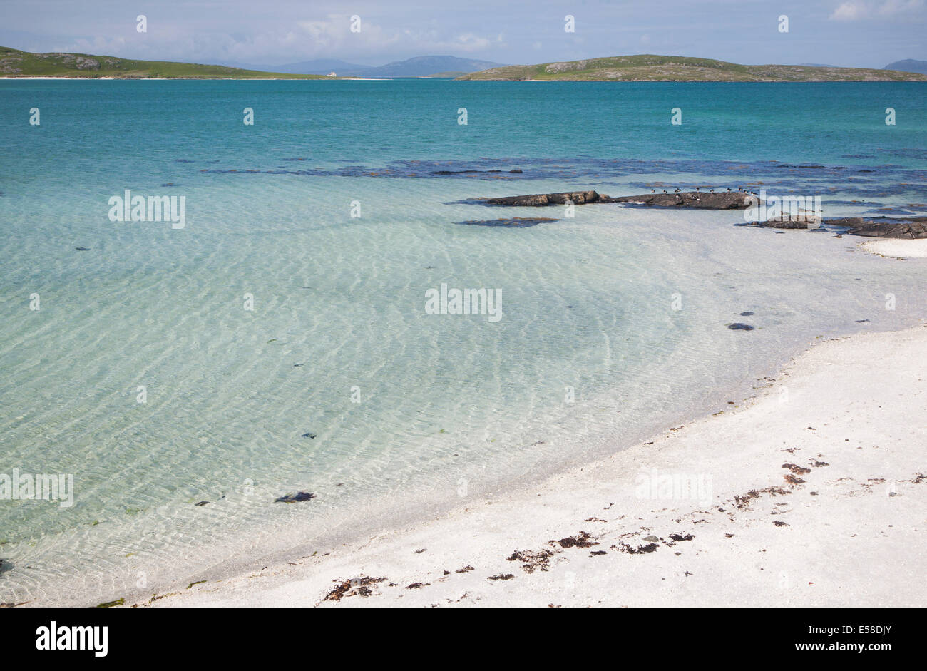 La sabbia bianca di Traigh Mhor spiaggia, l'increspatura Strand, Barra, Ebridi Esterne, Scozia Foto Stock