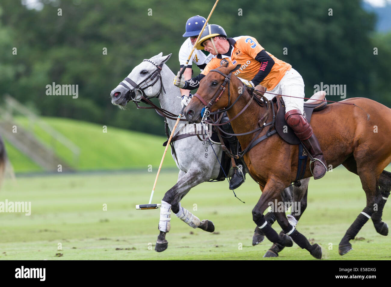 Polo i giocatori di competere per la palla. Foto Stock