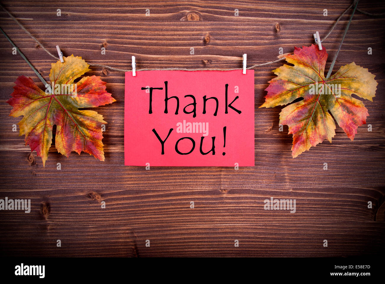 Etichetta rossa con la ringrazio con foglie di autunno su una linea Foto Stock