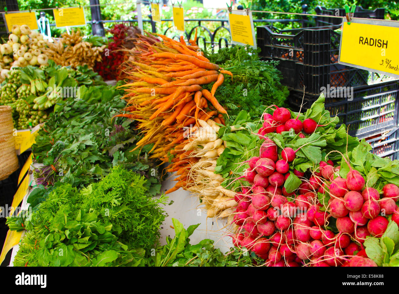 Array di produrre a livello urbano mercato degli agricoltori Foto Stock
