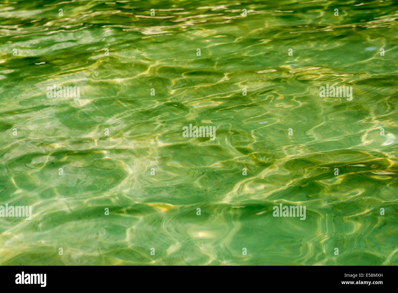 Texture di sfondo di un cristallo verde acqua in un paradiso tropicale dell'isola in Tailandia Foto Stock