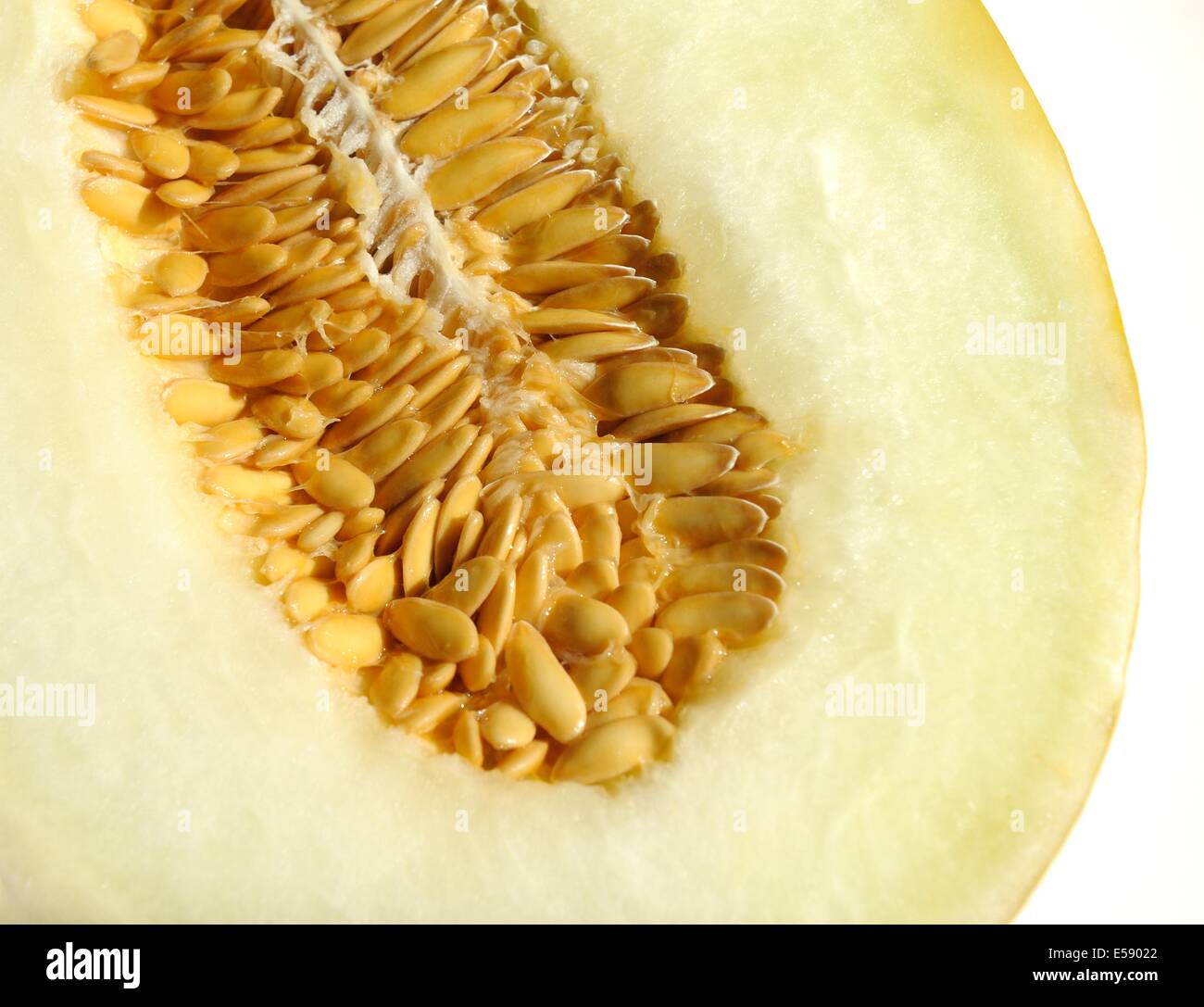 Freschi di melone Honeydew semi Foto Stock