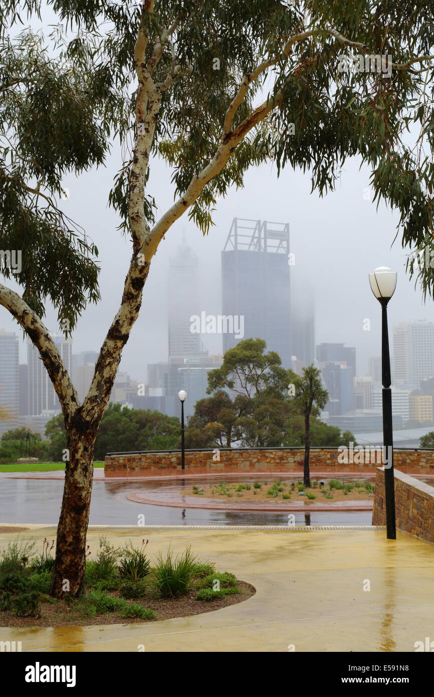 Kings Park affacciato sulla città di Perth su un umido giornata invernale, Western Australia. Foto Stock