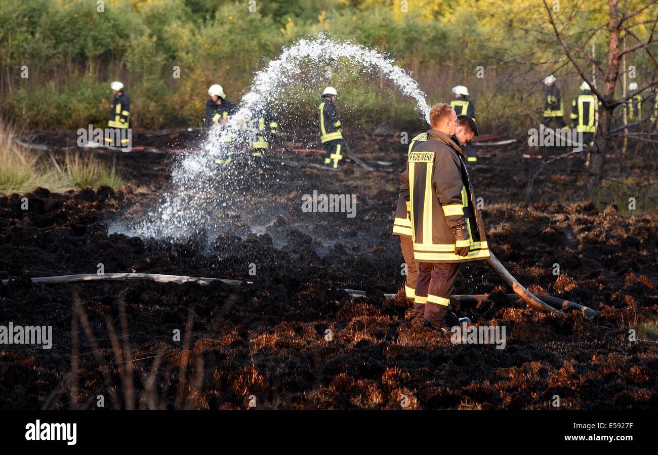 Bokel, Germania. 23 Luglio, 2014. Vigili del fuoco combattono le tasche di fuoco in un moro vicino a Bokel, Germania, 23 luglio 2014. Molti vigili del fuoco volontari nella regione sono stati in grado di ottenere l'incendio sotto controllo in modo rapido. Foto: Carsten Rehder/dpa/Alamy Live News Foto Stock