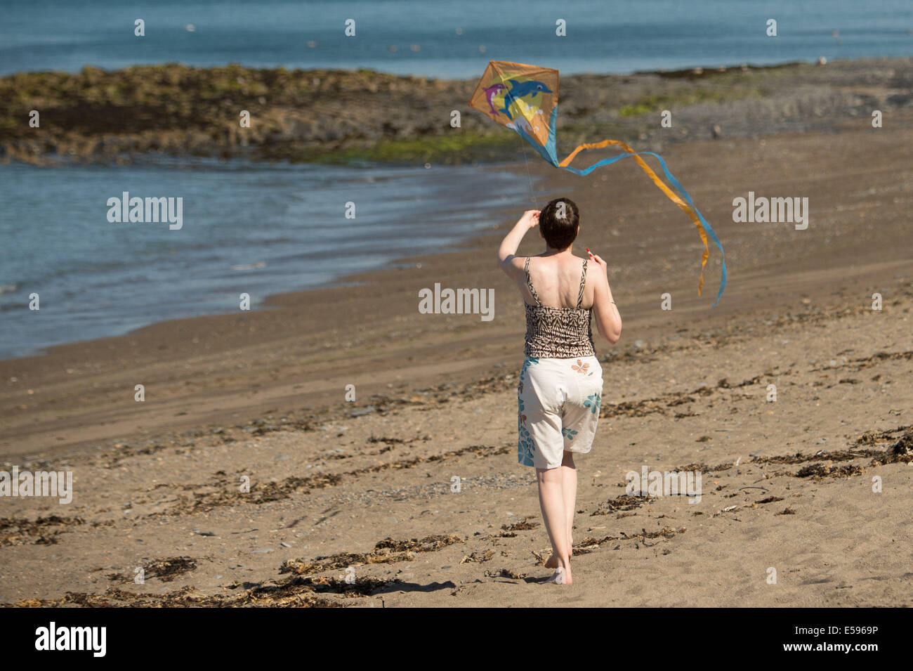 Aberystwyth, Wales, Regno Unito. Il 24 luglio, 2014. Una donna volare un aquilone sulla spiaggia, sfruttando al massimo il caldo clima soleggiato a Aberystwyth sulla West Wales coast UK. L'ondata di caldo è previsto per una durata di almeno un altro giorno, con temperature di progetto quasi raggiungere 30c in alcuni luoghi terrestri, prima dello scambiatore meteo restituisce al weekend Photo credit: keith morris/Alamy Live News Foto Stock