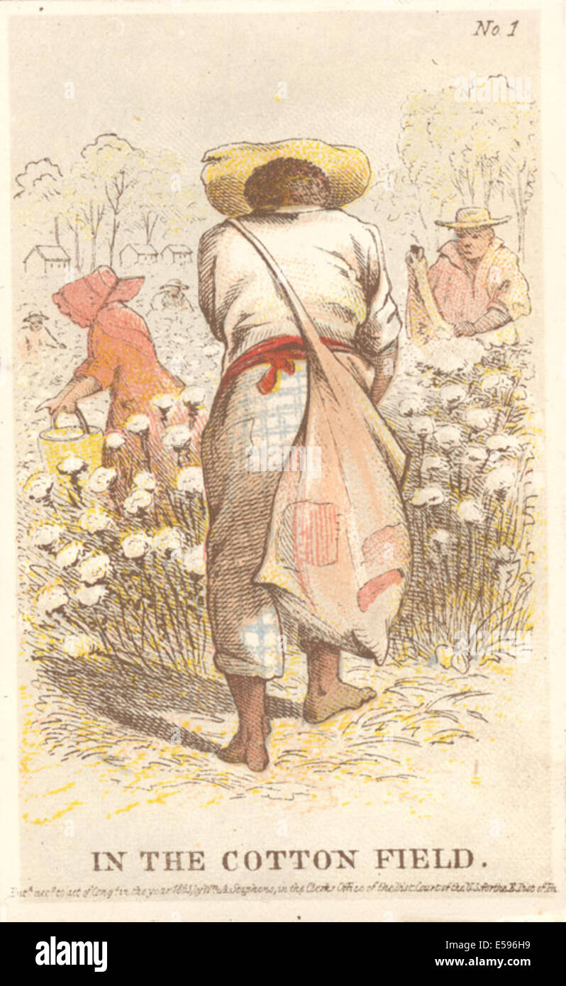 Nel campo di cotone, ca. 1863 Foto Stock