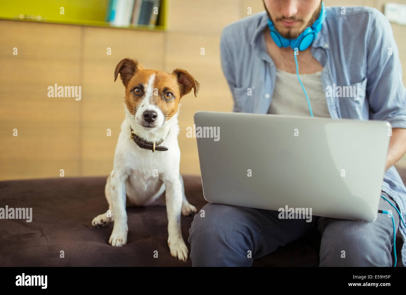 Dog sitter da uomo in ufficio Foto Stock