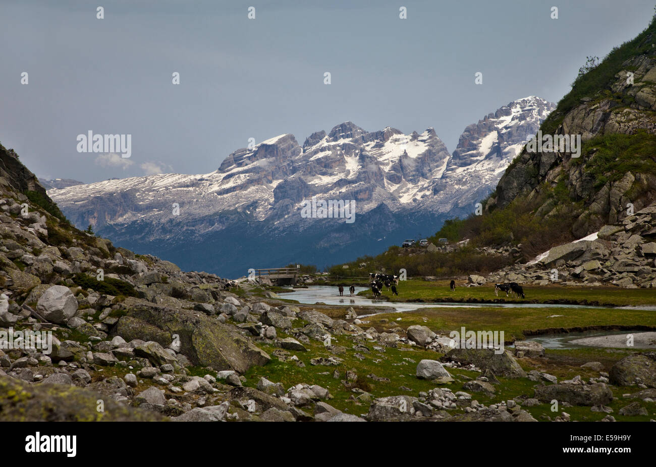 Gruppo di Brenta visto dalla Val d'Amola al vertice della Val Nambrone, Alpi, Italia Foto Stock