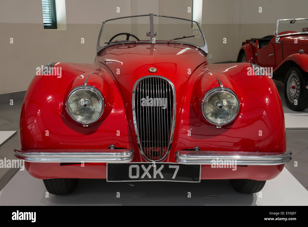Jaguar XK 120 leggero, Franschhoek Motor Museum, Sud Africa Foto Stock