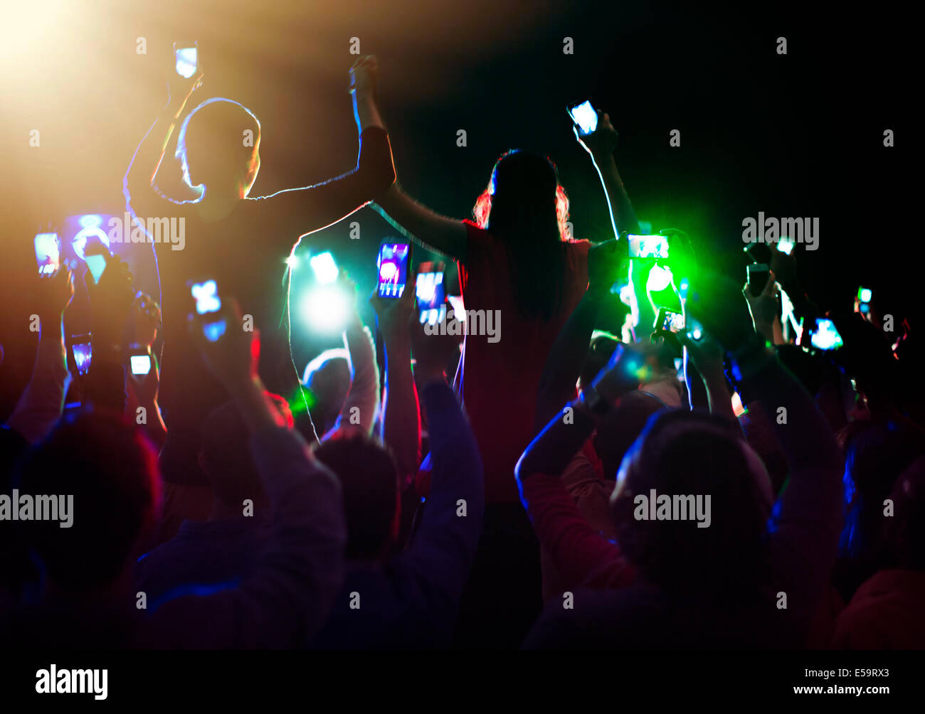 Pubblico godendo di concerto Foto Stock