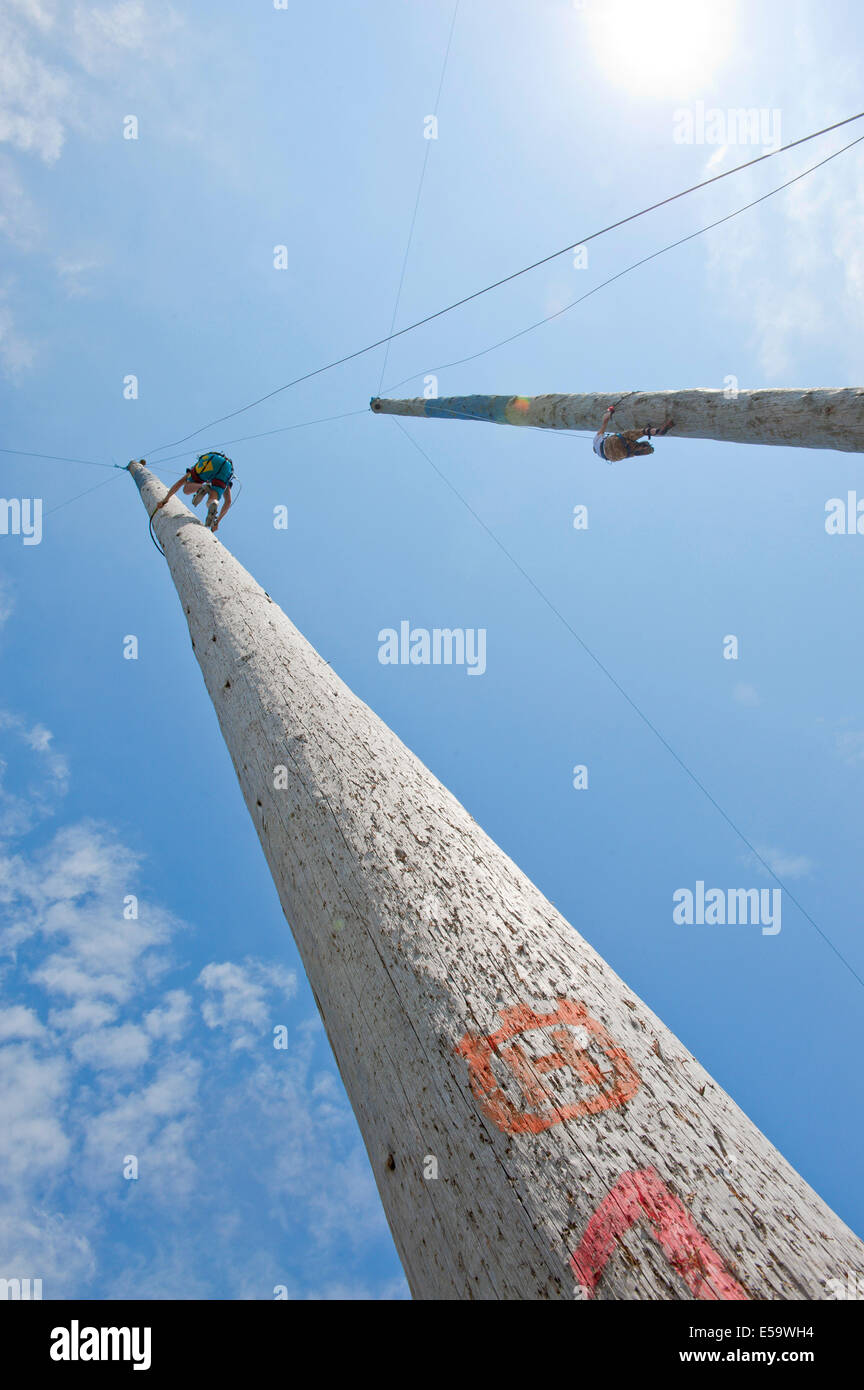 Llanelwedd, UK. Il 23 luglio 2014. Pole gare di arrampicata avvengono nell'area forestale. Un numero record di visitatori in eccesso di 240.000 sono attesi questa settimana durante i quattro giorni dell'Europa la più grande mostra dell'agricoltura. Classi di bestiame e i premi speciali hanno attratto 8.000 voci plus, 670 in più rispetto allo scorso anno. La prima mai Royal Welsh Show è stato a Aberystwyth in 1904 ed ha attirato 442 voci di bestiame. Credito: Graham M. Lawrence/Alamy Live News. Foto Stock