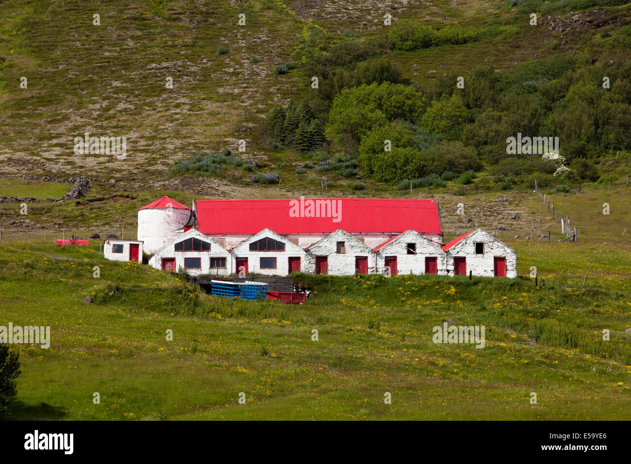 Agriturismo - il sud dell'Islanda Foto Stock