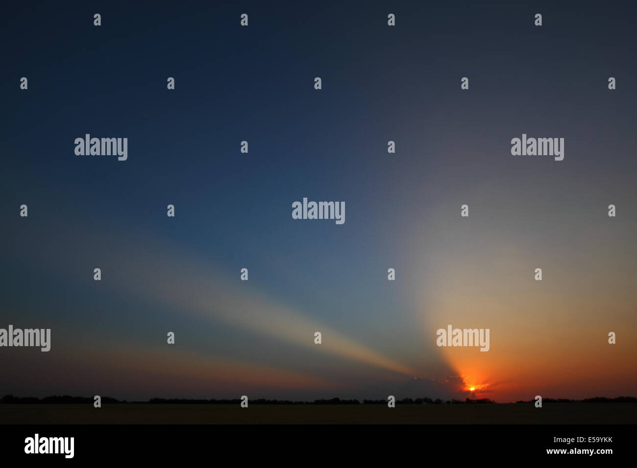 Sunrise raggi crepuscolari ("fasci di Dio") irradiare attraverso le nuvole e il cielo al di sopra di un Texas pascolo. Foto Stock