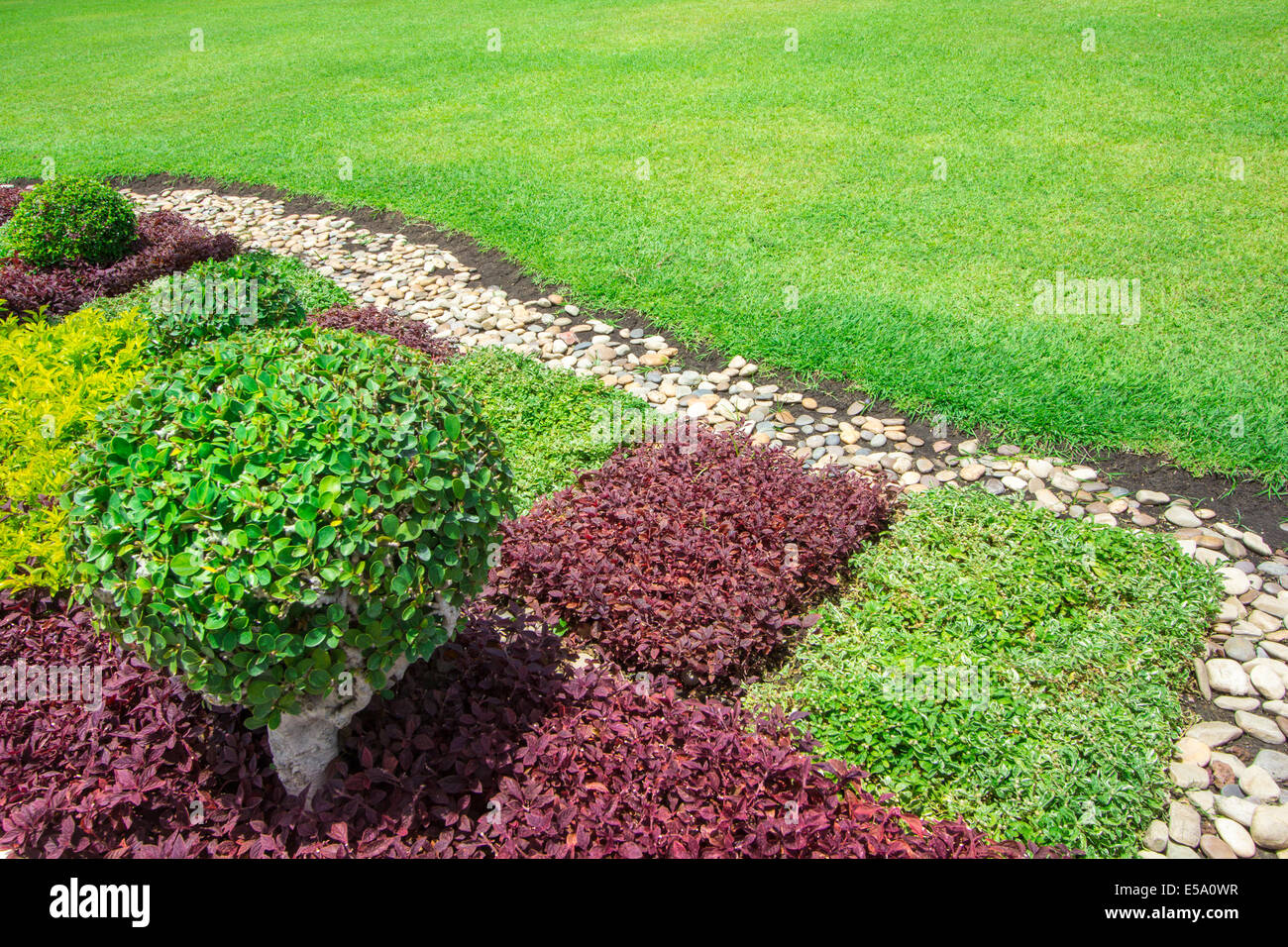 Bush decorare in giardino verde sullo sfondo Foto Stock
