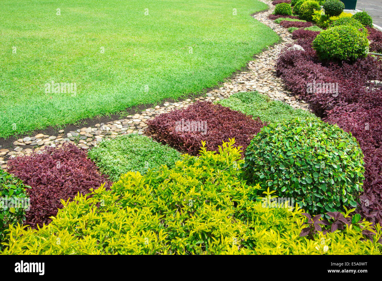 Bush decorare in giardino verde sullo sfondo Foto Stock