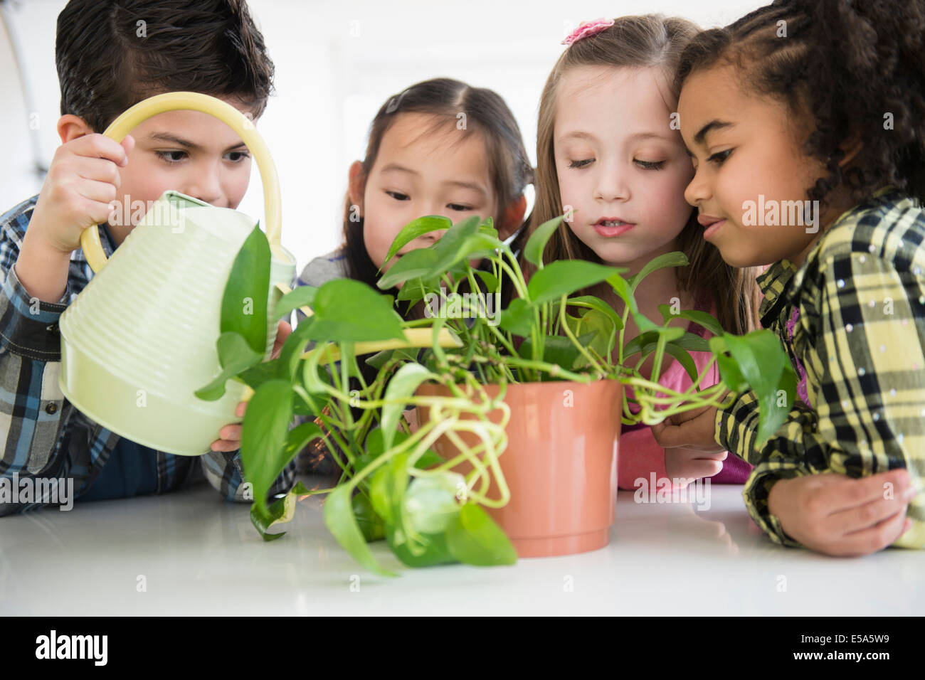 Bambini impianto di irrigazione insieme Foto Stock