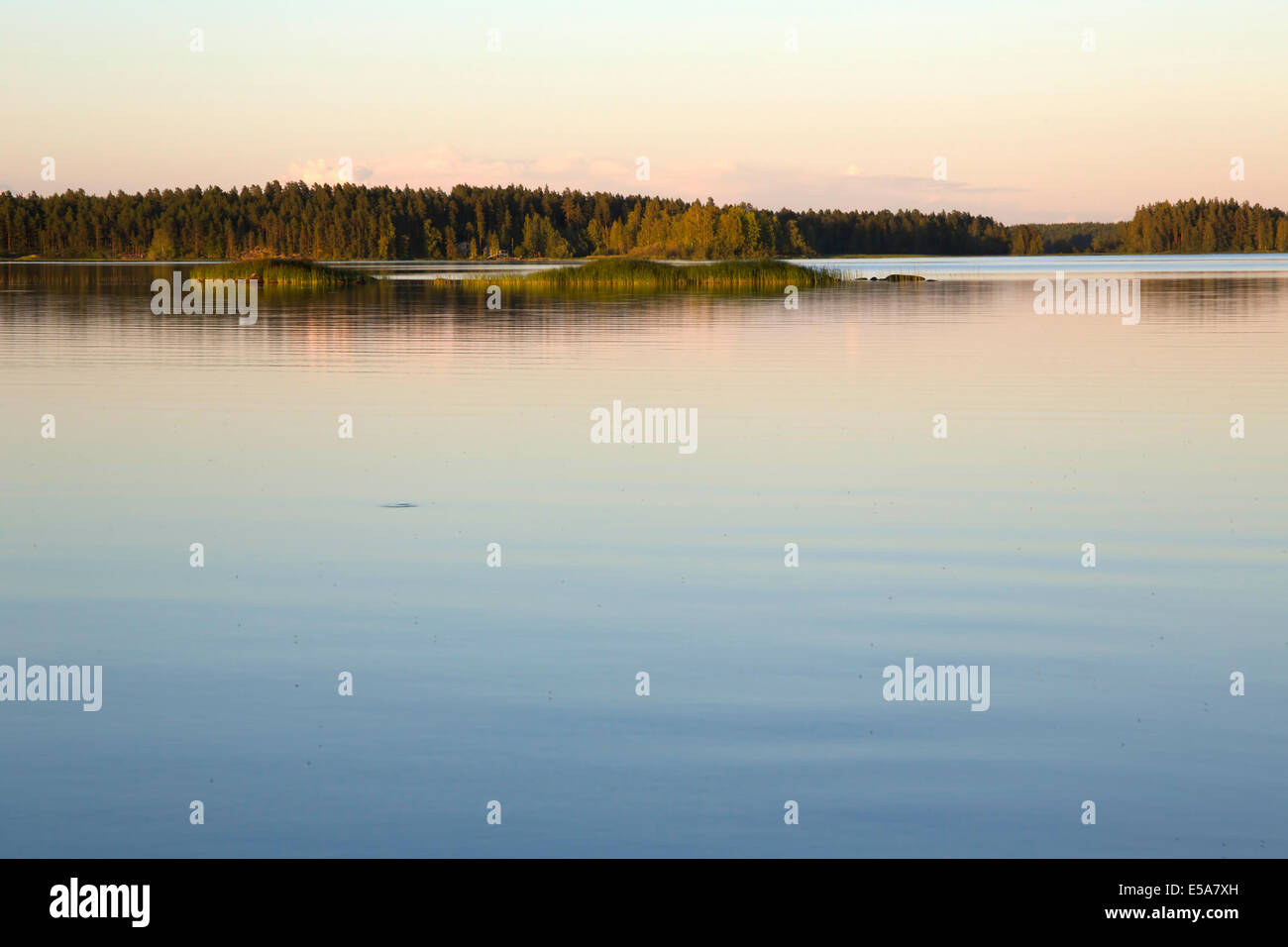 Paesaggio lacustre durante il tramonto di sera tempo durante l estate in Finlandia Foto Stock