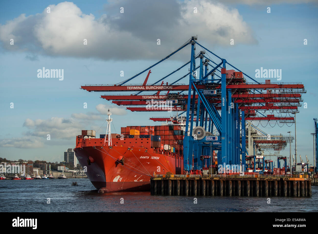 Santa Teresa, contenitore di nave con overhead Gantry cranes, contenitore, porto di Amburgo, Amburgo, Germania Foto Stock