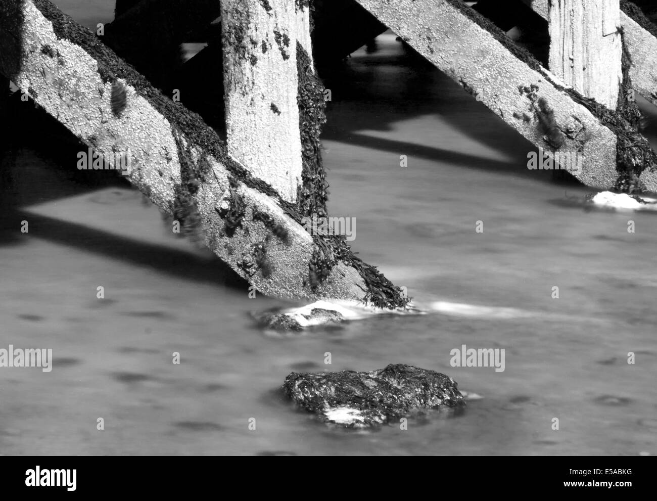 Pier in bianco e nero Foto Stock