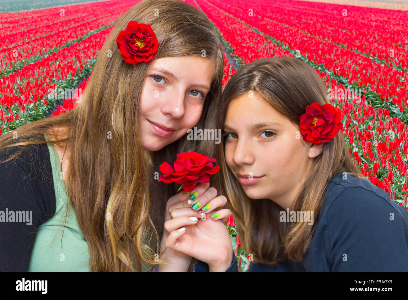 Due ragazze con rose rosse nella parte anteriore del campo di tulipani Foto Stock